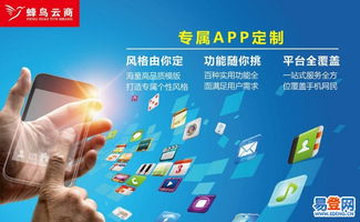 厦门网站开发与软件外包 定制化服务助力企业数字化升级